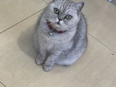 -Oasis绿洲银饰珍珠手作diy(壹方城店)