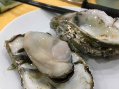 -蚝专家(北滘店)