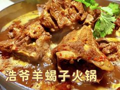 -浩爷羊蝎子火锅(望京店)