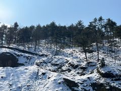 -四明山国家森林公园