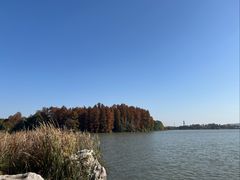 -东湖落雁景区
