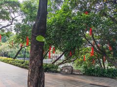 -荔湾湖公园