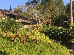 -四季酒店下午茶
