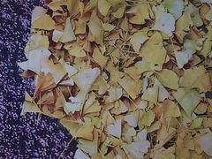 -江燕路万科里