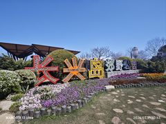 -上海长兴岛郊野公园