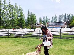 -前小桔亲子创意农场·草莓采摘·露营烧烤