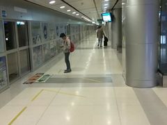-Magic Food Point(Airport Street food)