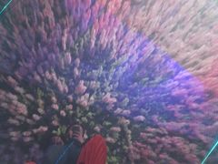 -云幽谷旅游区