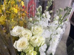 -循礼门鲜花花市(武汉循礼门店)