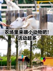 点击看大图 -前小桔亲子创意农场·草莓采摘·露营烧烤