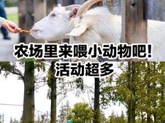 -前小桔亲子创意农场·草莓采摘·露营烧烤