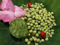 -小蓝鲸湖北菜(八一路店)