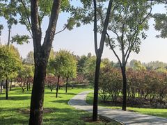 -丽泽山庄·生态怀柔菜·虹鳟鱼(红螺寺店)