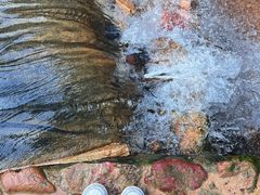 -南海湾森林生态园