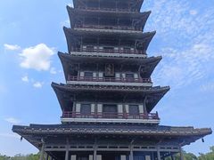 -宜兴龙背山森林公园