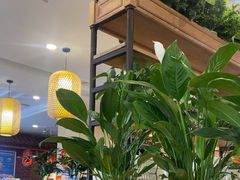 -大清花饺子(山庄店)