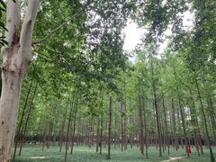 -河南省黄河迎宾馆