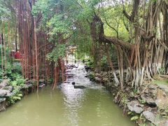 -珠海圆明新园