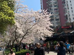 -玛格萝妮比萨屋(四平店)