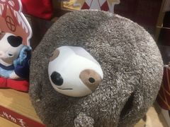 -九木杂物社(中心店)