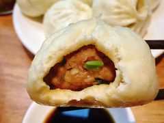 老面土猪肉包子-凤起龙游老面包子(凯德晶品店)