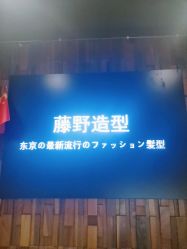 点击看大图 -藤野造型