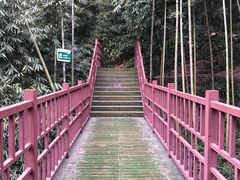 -川西竹海景区