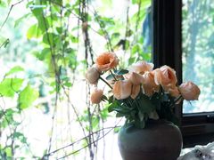 -春暖花开(西溪店)