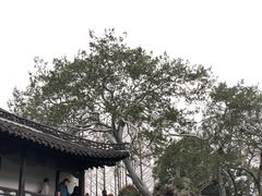 -何园