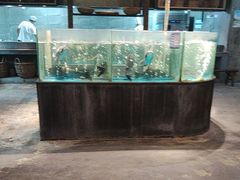 -丹江渔村(首都机场店)