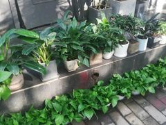 -那些花儿鲜花店(小寨店)