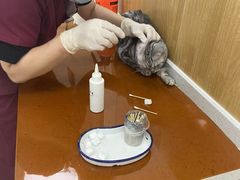 -美联众合动物医院·24h京西诊疗中心