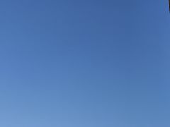 -武清南湖绿博园