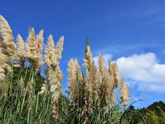 -贵阳市花溪国家城市湿地公园