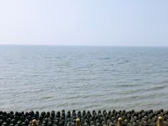 江堤-瀛洲公园
