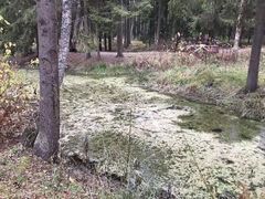 -列宾美术学院