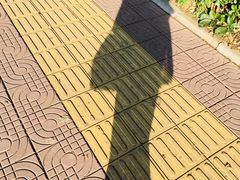 -金杏·粘卷子 烤鸭 农家菜