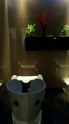 -史云逊养发护发