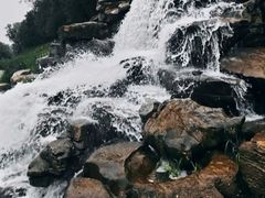 -黛秀湖公园