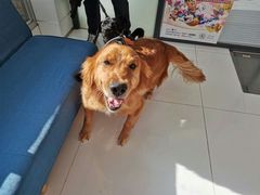 -北京恒爱动物医院(清景园分院)