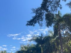 -深圳仙湖植物园