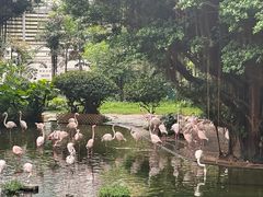-九龙公园