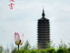 -西海子公园