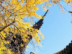 -西园戒幢律寺