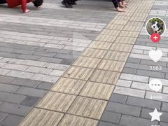 -鼎记酒楼(雁南一路店)