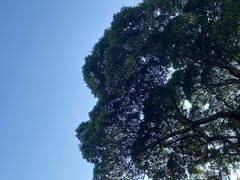 -八卦楼风琴博物馆