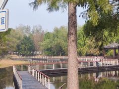 -同里国家湿地公园