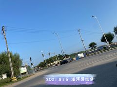-蒲河大集