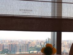 -Yan Ting宴庭中餐厅-长沙瑞吉酒店(运达店)