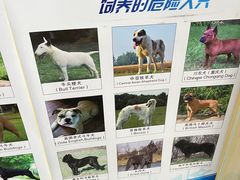 -宠颐生宠物医院外科·内科·皮肤科·影像科(石龙店)